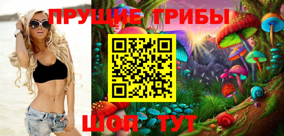 Псилоцибиновые грибы мицелий Лысьва